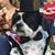 Buddy Gump's profile image