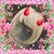 Frances Espinoza's profile image