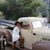 Ruby Uy Denn's profile image