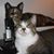 Donna McKenney's profile image