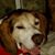 Cindy Brown's profile image