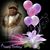 Joelle Jones's profile image