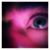 Steven Altis's profile image