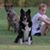 Victoria Mitchell's profile image