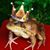 Brenda Brinkley Carpenter's profile image