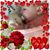 Cathy Torti's profile image