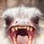 Jay Szczepanski's profile image