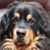 Amy Bowler's profile image