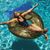 Ayla Mashburn's profile image