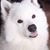 Deborah Daigneault's profile image