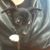 Mark Lammers's profile image