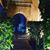Merab Aml Aml Merab's profile image