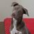 Laura Avenoso's profile image