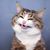 Frunky Wawa's profile image
