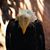 Loree McComb's profile image