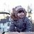 Jenelle McGrath Wrede's profile image