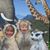 Susanne Wahl's profile image