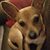 Donna Eaton Shue's profile image