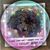 Mary Dixon's profile image