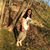 Rosa Cofre's profile image
