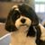 Rita Mahaffey Aponte's profile image
