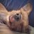 Brian McNeill's profile image