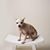 Mary Davila's profile image