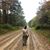 Stephanie June Gulick's profile image