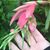Karen S. Schaedel's profile image