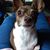 Pearl Rodocker's profile image