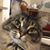 Amanda Legernes's profile image