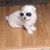 Maria Ruiz's profile image