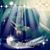 Shelley Hall's profile image