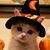 Becky Baldwin's profile image