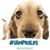 Sandra Riley's profile image