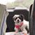 Sherry Bain's profile image