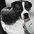 Sarah Mckrill Scheidt's profile image