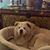 Victoria Overton's profile image