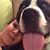 Elaine Mosier's profile image