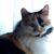 Deborah Furby's profile image