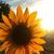 Gzl CiTlali's profile image