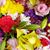Sallyanne Fusco Klein's profile image