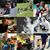 Ryan Sornberger's profile image