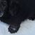 Brandy Arvay's profile image