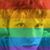 John Mac Kavo's profile image