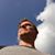 Ryan Melquist's profile image