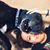Charline Samples-Thurman's profile image