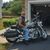 Anthony Falzo's profile image