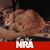 Robert Deveau's profile image
