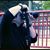 Alberto Grovas's profile image